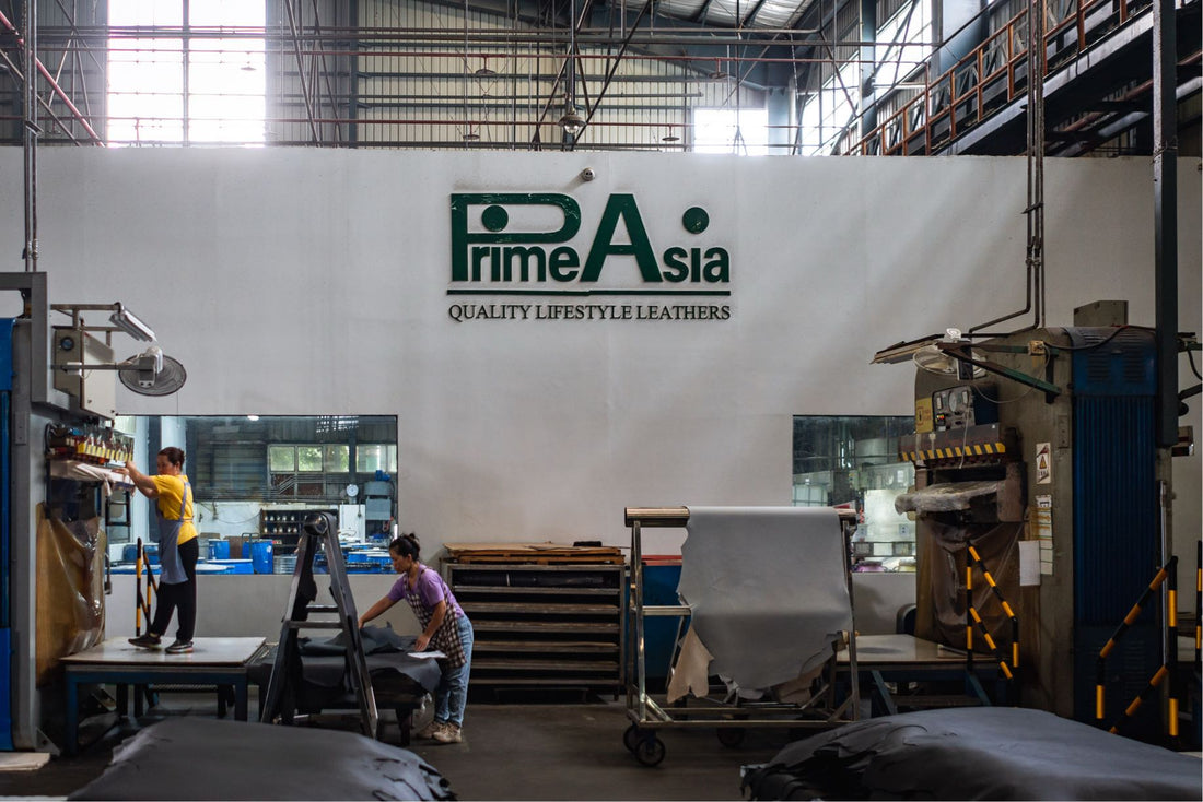 PrimeAsia Leather Overview